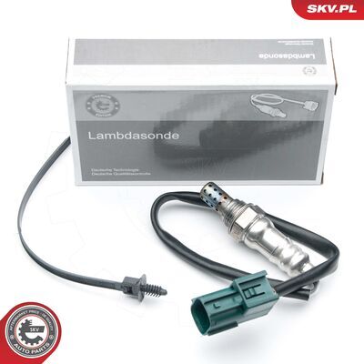 09SKV683