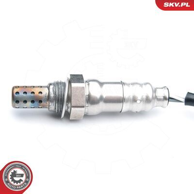 09SKV686