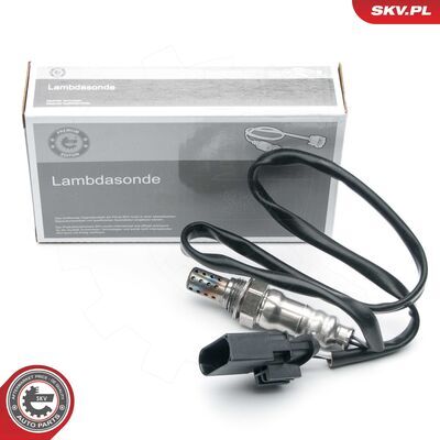 09SKV686