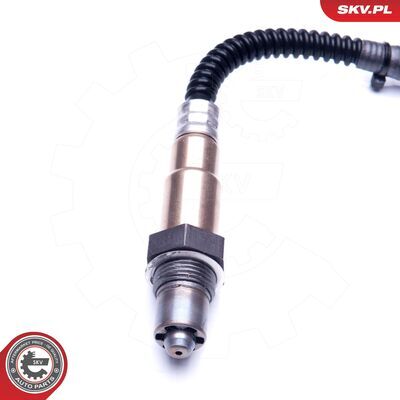 09SKV696