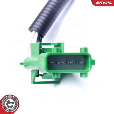09SKV696