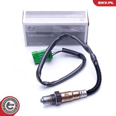 09SKV696