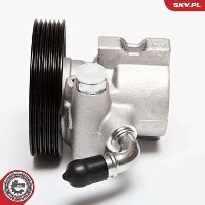 10SKV062