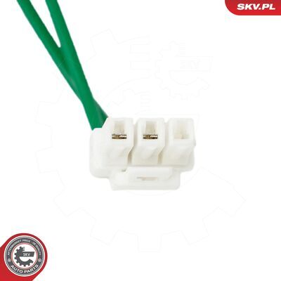 02SKV779
