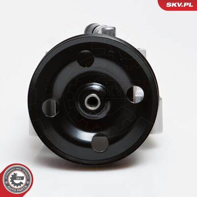 10SKV091