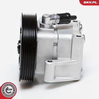 10SKV091