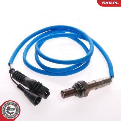 09SKV066