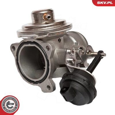14SKV020