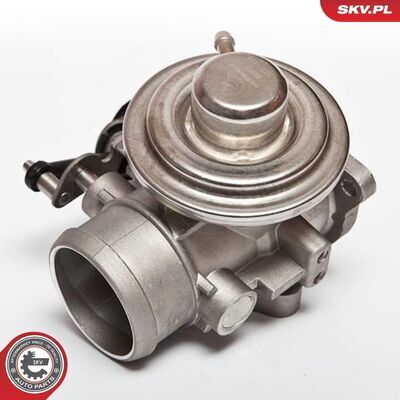 14SKV020