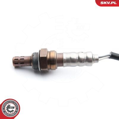 09SKV091