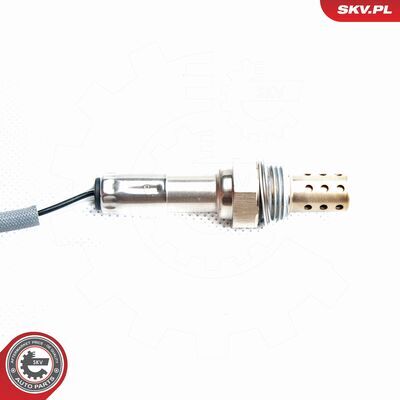 09SKV098