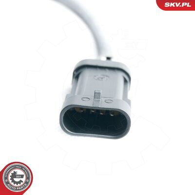 09SKV098