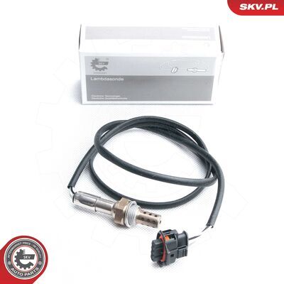 09SKV102