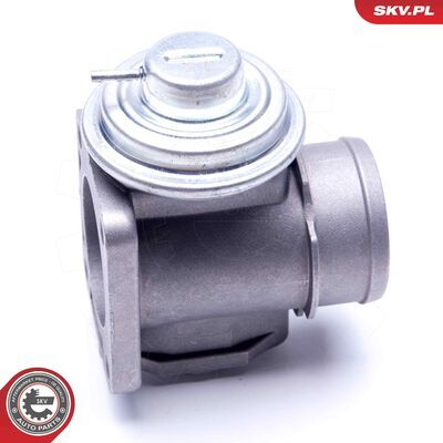 14SKV174