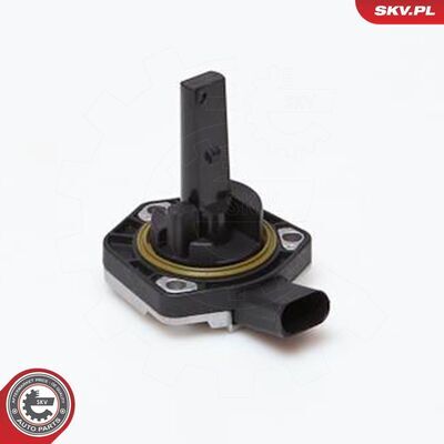 17SKV202