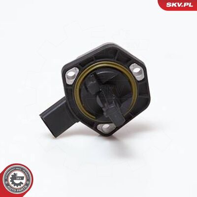 17SKV202