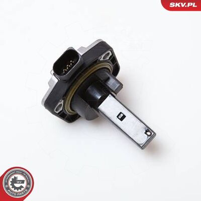 17SKV202