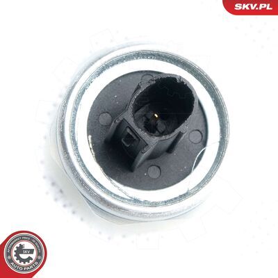 17SKV360