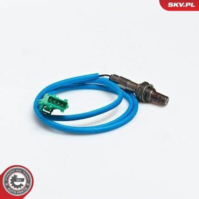 09SKV037