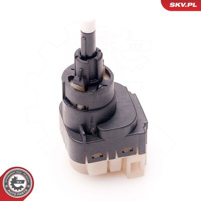 17SKV376