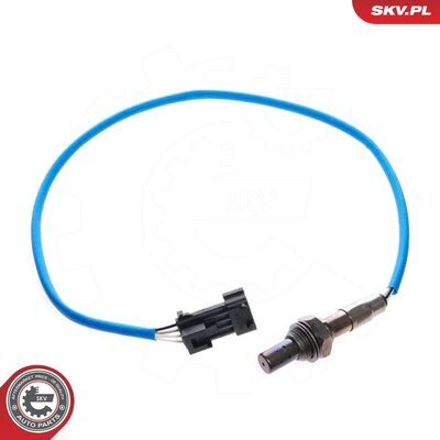 09SKV042