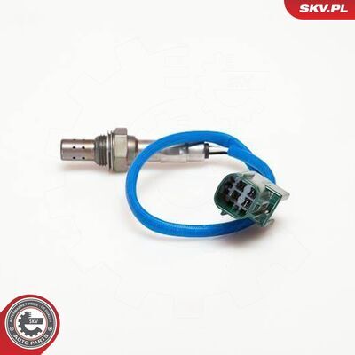 09SKV056