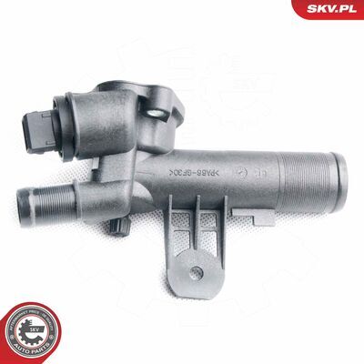 20SKV021