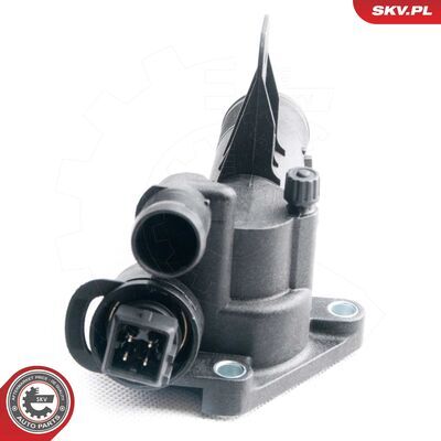 20SKV021