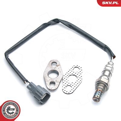 09SKV579