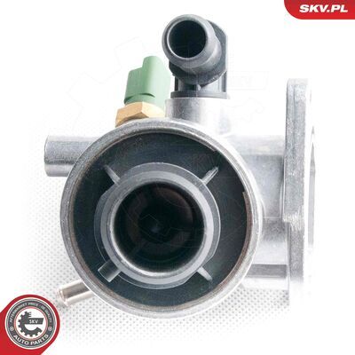 20SKV038