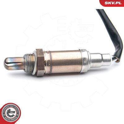 09SKV599