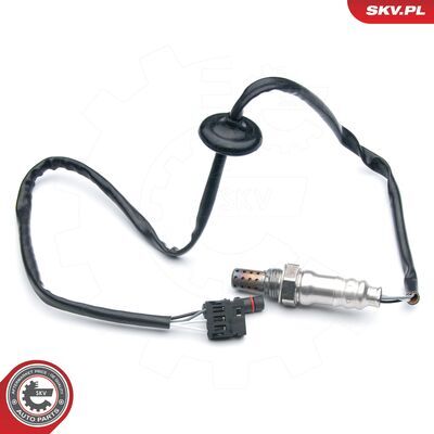 09SKV612