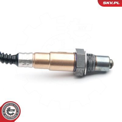 09SKV868