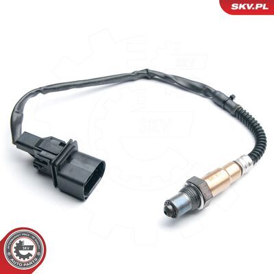 09SKV870