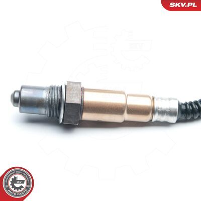 09SKV871
