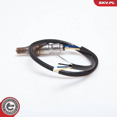 09SKV906