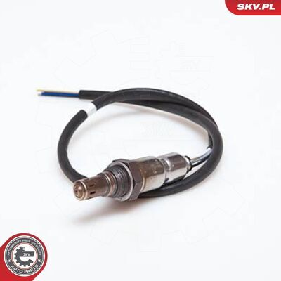 09SKV906