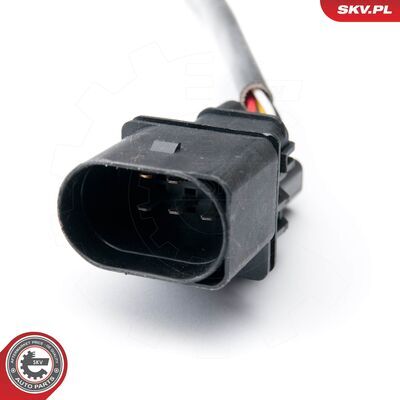 09SKV908