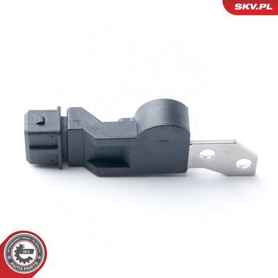 17SKV250