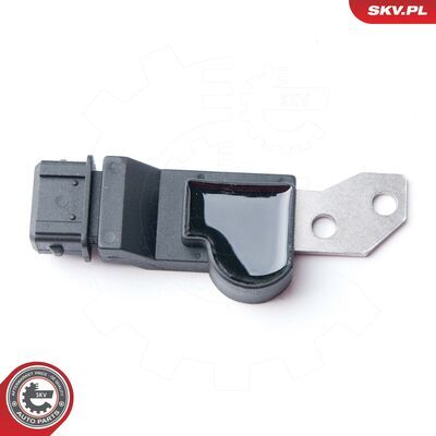 17SKV250