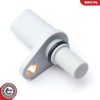 17SKV260