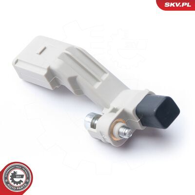 17SKV272