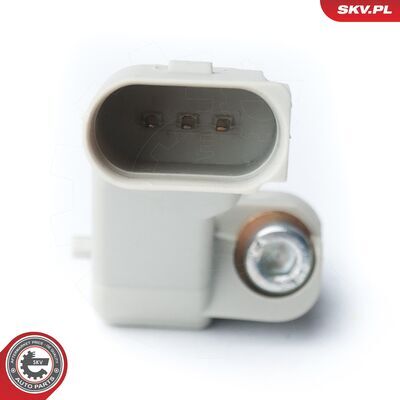 17SKV272