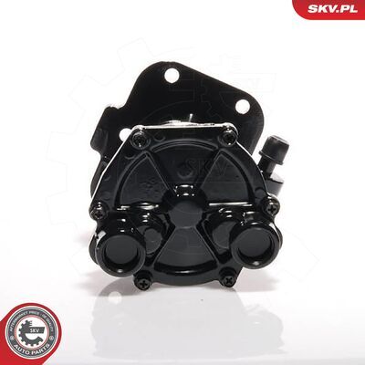 18SKV011