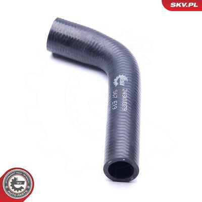 24SKV379