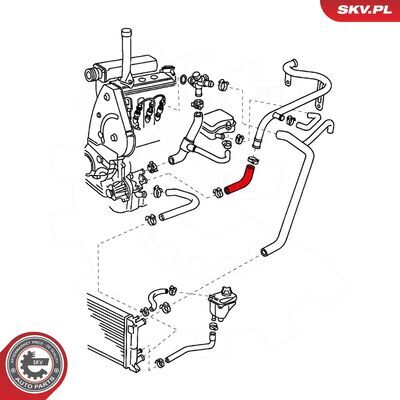 24SKV379