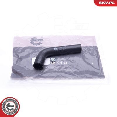 24SKV379