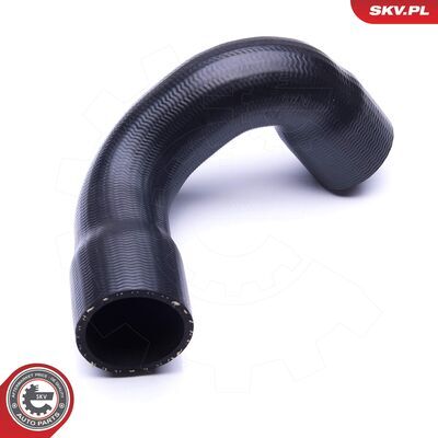 24SKV829