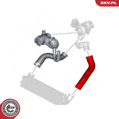 24SKV864