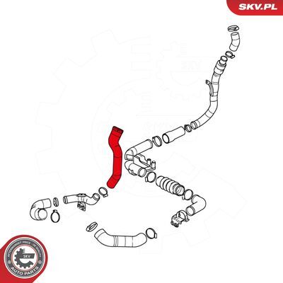 24SKV021
